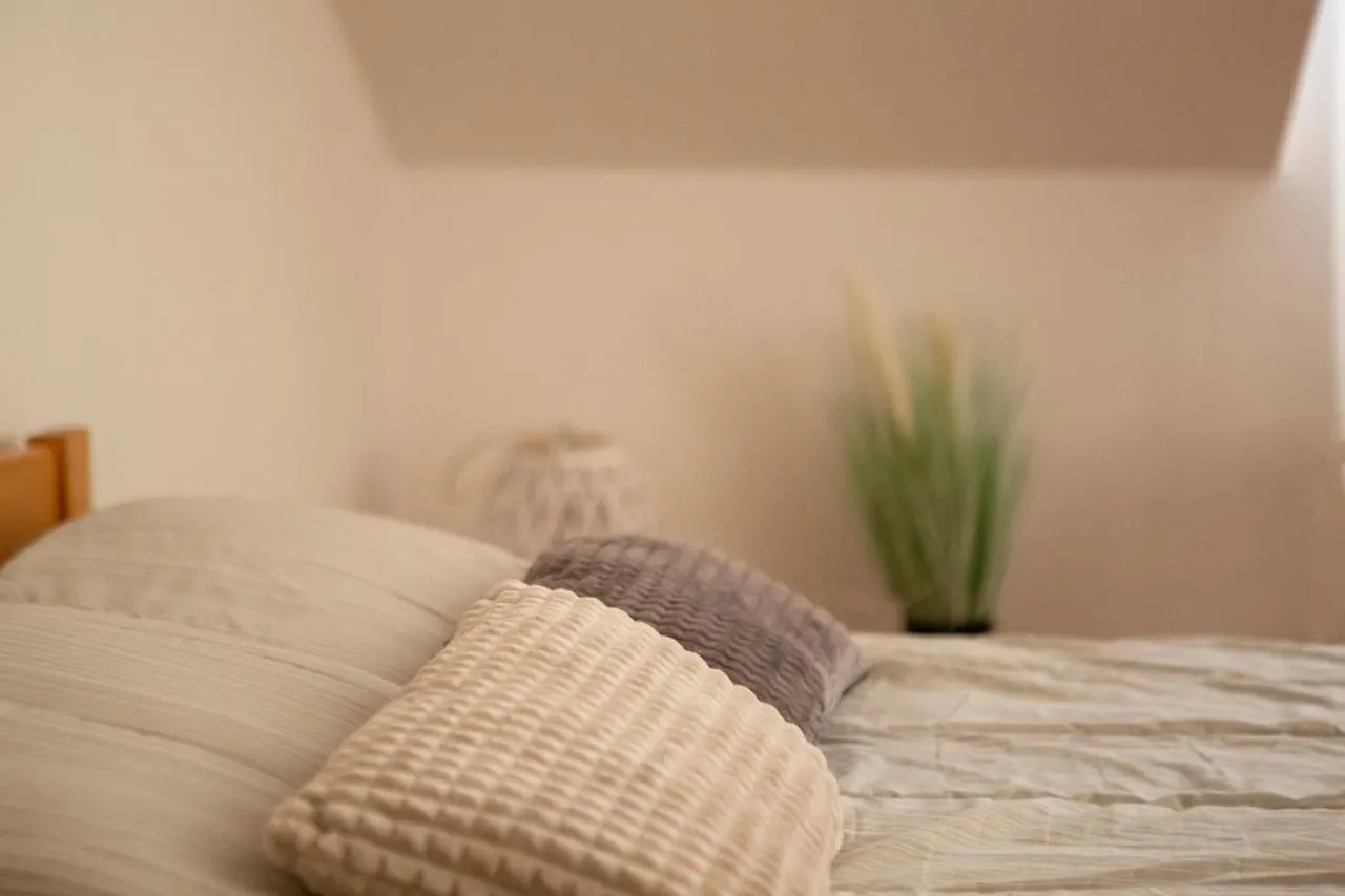 Apartment Kika Pula 0*,